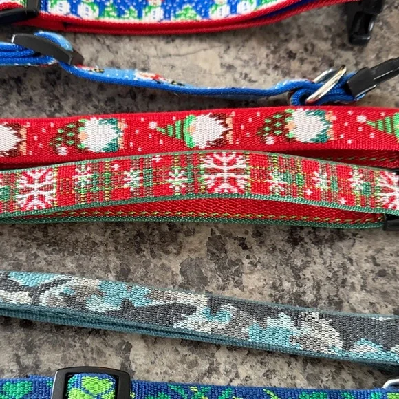 21 Vibrant Multicolor Dog Collars used